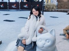 -首开·龙湖成都西宸天街