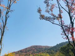-南京市无想山景区