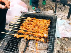 -上海共青森林公园