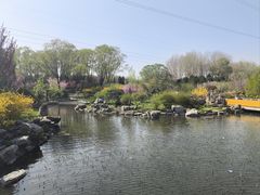 -石家庄市植物园