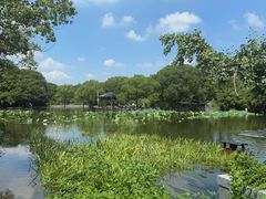 -蠡湖大桥公园