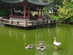 -上海千禧海鸥大酒店