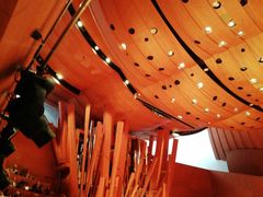 -华特·迪士尼音乐厅