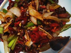 -鼎原力量东北吊炉烧烤(临河街店)