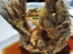 糖醋黄河大鲤鱼-三义和酒楼(千佛山店)