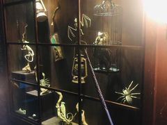 -逃脱反斗城沉浸剧情密室(阳光新业中心店)