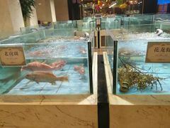 -旺顺阁海鲜广场(亚运村店)
