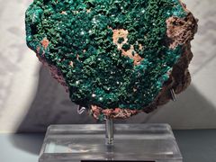 -甘肃地质博物馆