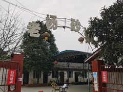 -老杨砂锅鱼庄