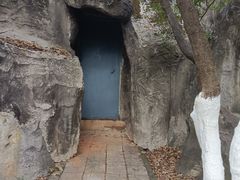 -昆明动物园