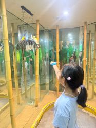 点击看大图 -神奇动物撸宠馆·羊驼·小浣熊·异宠(豫园店)