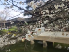 -苏州图书馆(人民路总馆)