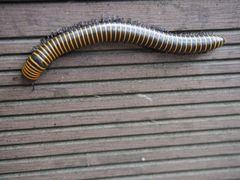 -南京金牛湖风景区