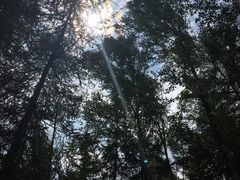 -峡谷浮石林景区