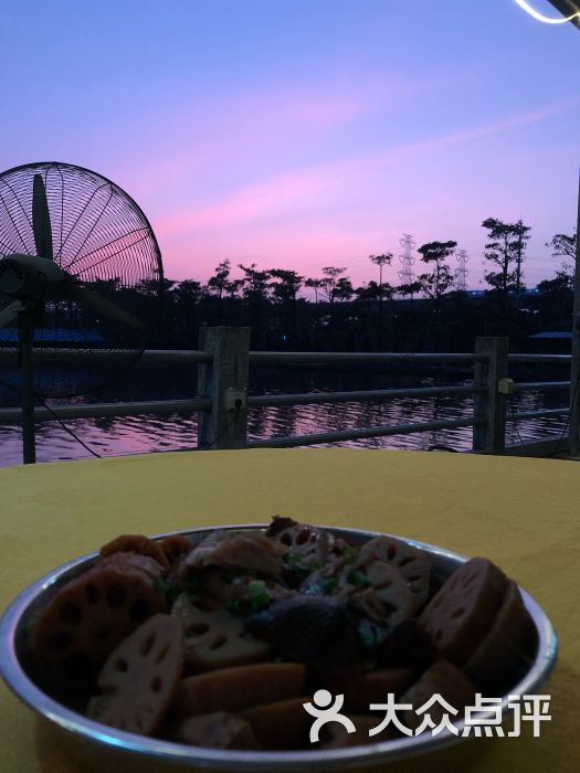 观龙岛生态农庄图片