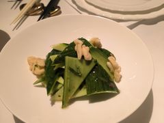 开胃脆瓜-西郊5号·Maggie 5