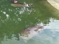 -泉州海丝野生动物世界