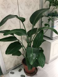 -茜茜美妍堂·华熙生物·甜朵体验中心