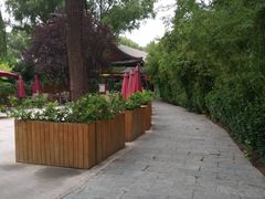 景观位-万柳阁小馆·花园餐厅(龙潭湖店)