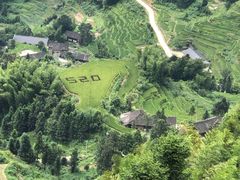 -紫鹊界梯田景区