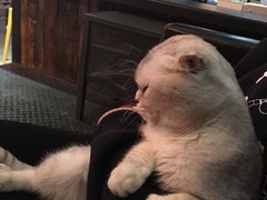 -MIKAKU(万达广场上海宝山店)