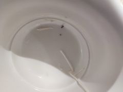 -半天妖烤鱼(兰州国芳中心店)