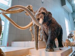 -上海自然博物馆