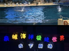 -泉城欧乐堡海洋极地世界