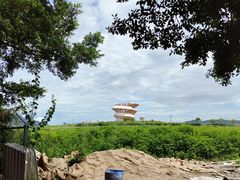 -光明小镇欢乐田园
