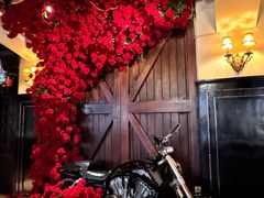 -碧特博格啤酒花园餐厅(芜湖路店)