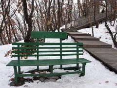 -帽儿山国家森林公园