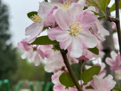 -永定河休闲森林公园
