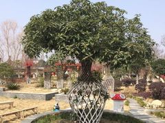 -武汉紫薇都市田园