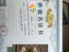-西陵峡快乐谷(三峡蹦极)