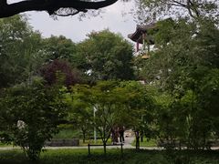 -莲花池公园