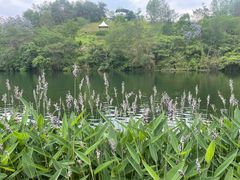 -黄龙溪欢乐田园