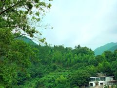 -楠溪江风景名胜区