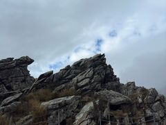 -朱雀国家森林公园