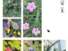 -国家植物园南园