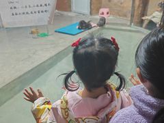 -芜湖新华联大白鲸海洋公园