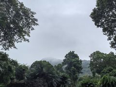 -深圳仙湖植物园