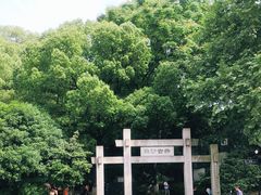 -白沙古井