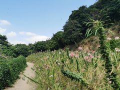 -青青世界