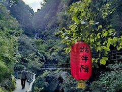 -石台牯牛降景区
