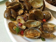 辣炒黄蚬子-渔娘渔家丹东海鲜(东直门店)