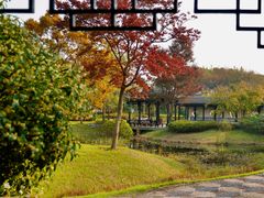 -贡湖湾湿地公园