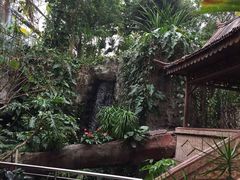 -北京植物园-展览温室