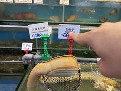 -南丫岛