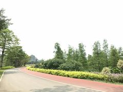 -南宁花花大世界景区