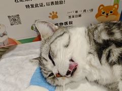 -守诺宠物医院·眼科· 神经外科·爬宠专科(虹口店)